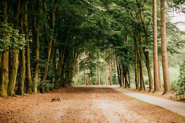 Uitvaartzorg Van Tilburg in Schaijk
