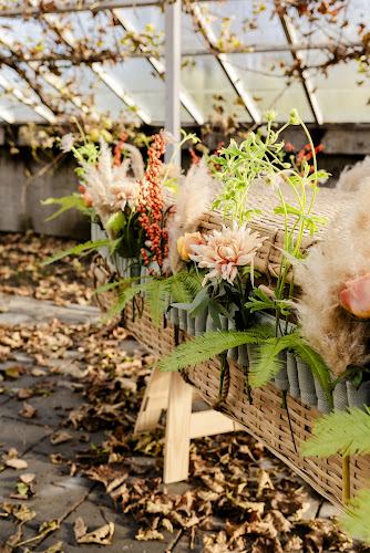 Monique Ursem uitvaartbegeleiding in Wognum