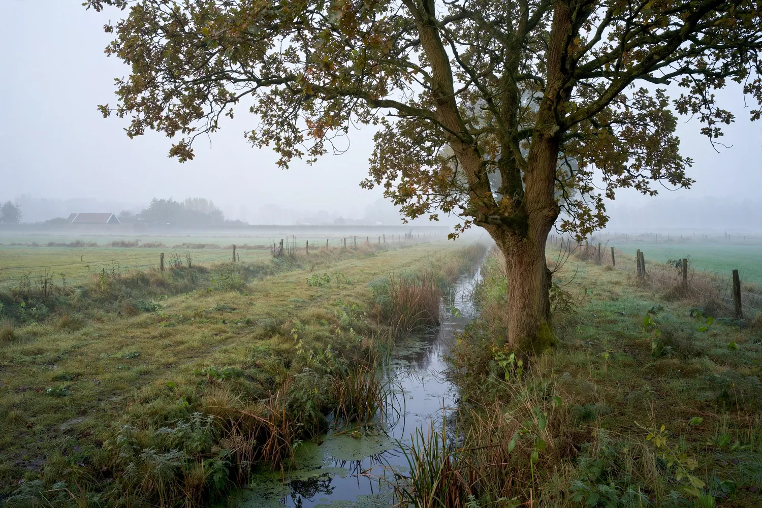 Artikelfoto bij: Nieuwe uitvaartwet: wat verandert er en wanneer gaat die in?