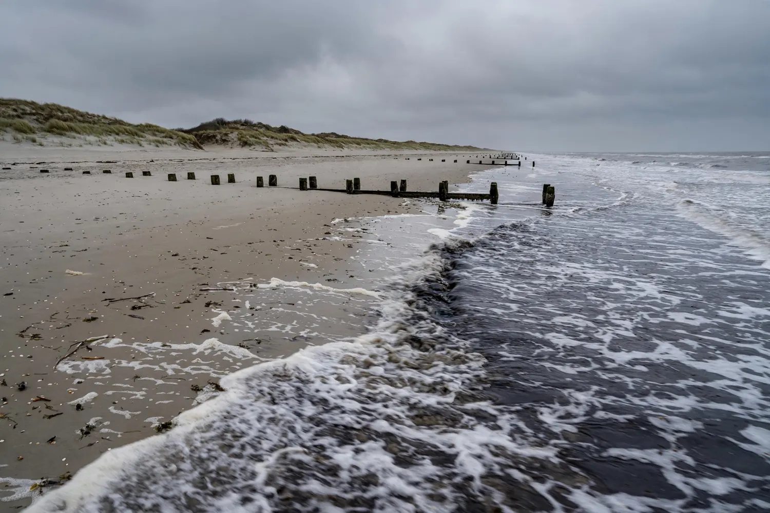 Artikelfoto bij: Resomeren: wat is het en wanneer mag het in Nederland?