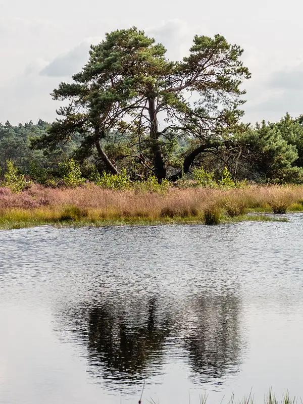 Gelderland