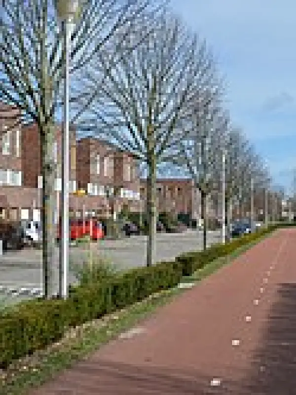 Delfgauw