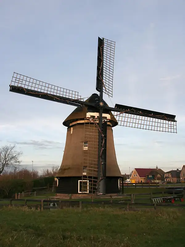 Koedijk