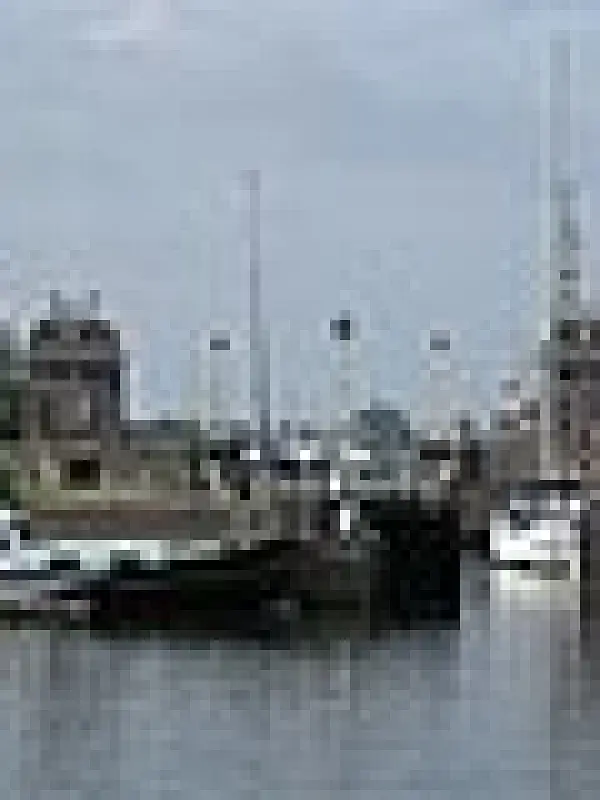 Lemmer