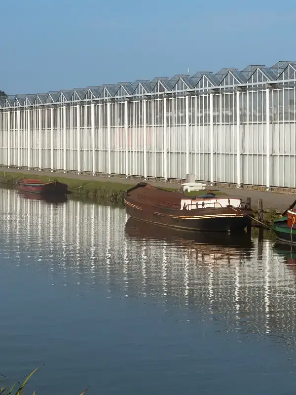 Poeldijk