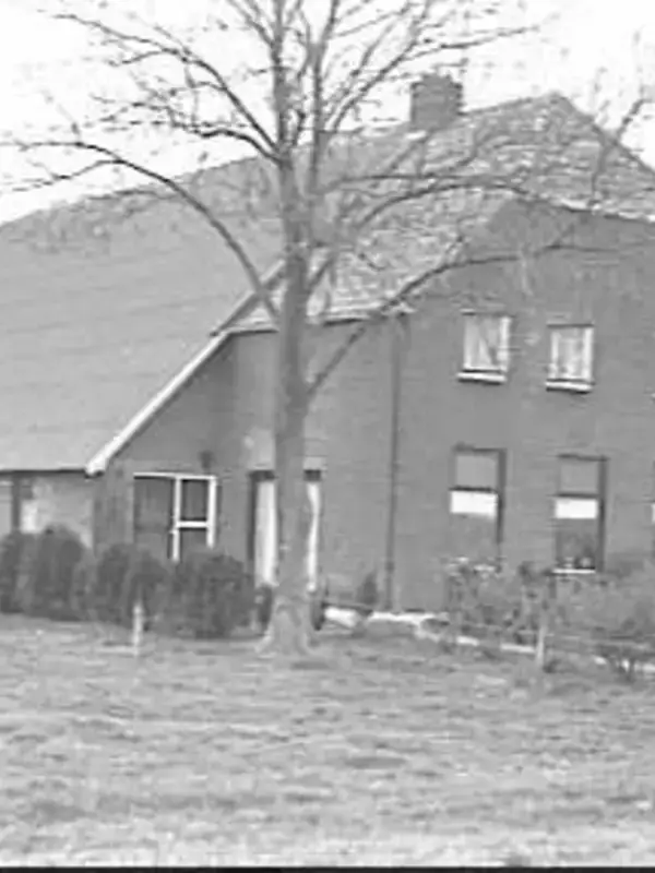 Rheezerveen