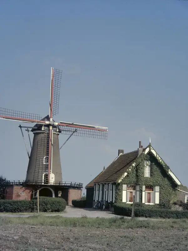 Sint-Maartensdijk