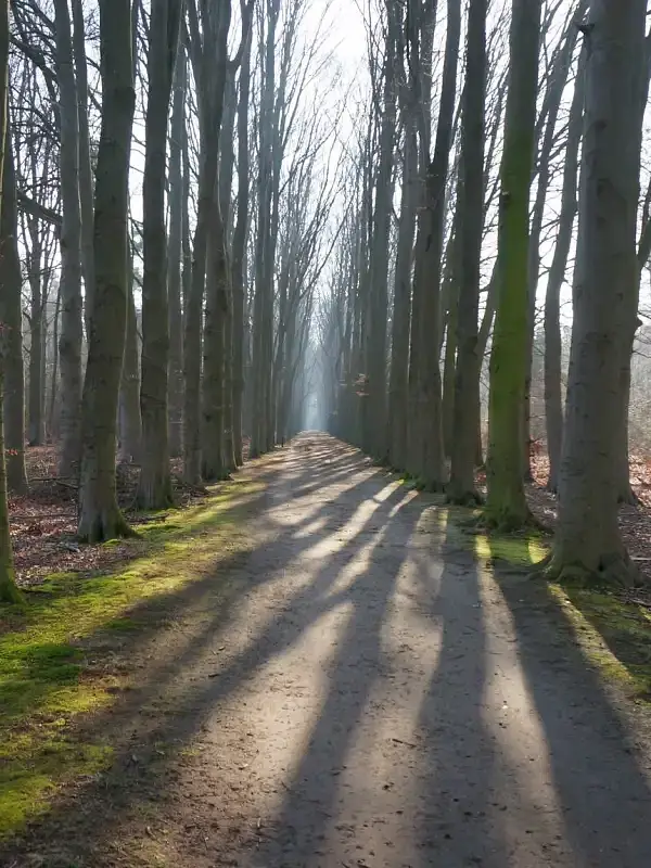 Warnsveld