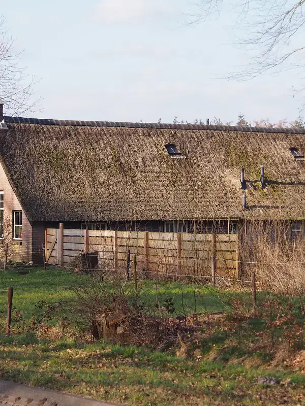 Wilhelminaoord
