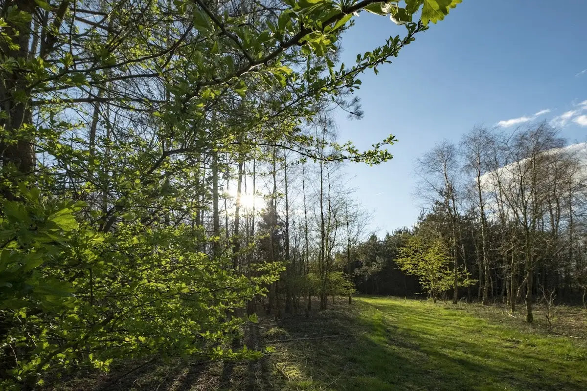 Foto van Natuurbegraafplaats Mepperdennen
