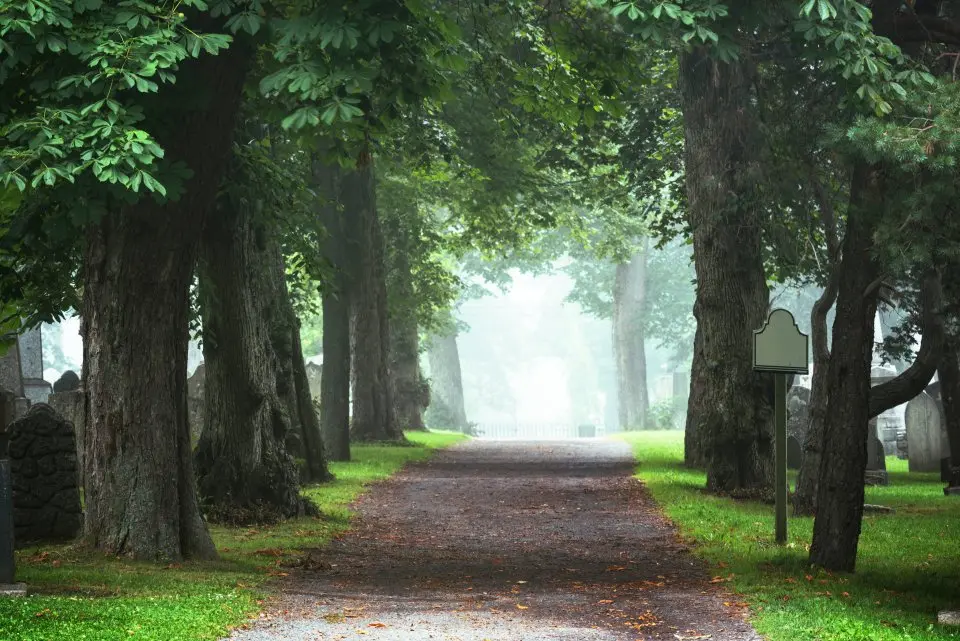 Foto van Steehouwer Uitvaart