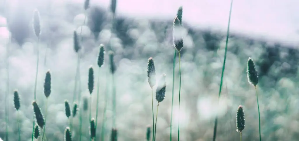 Van Eldik Domhof Uitvaartzorg in Varsseveld