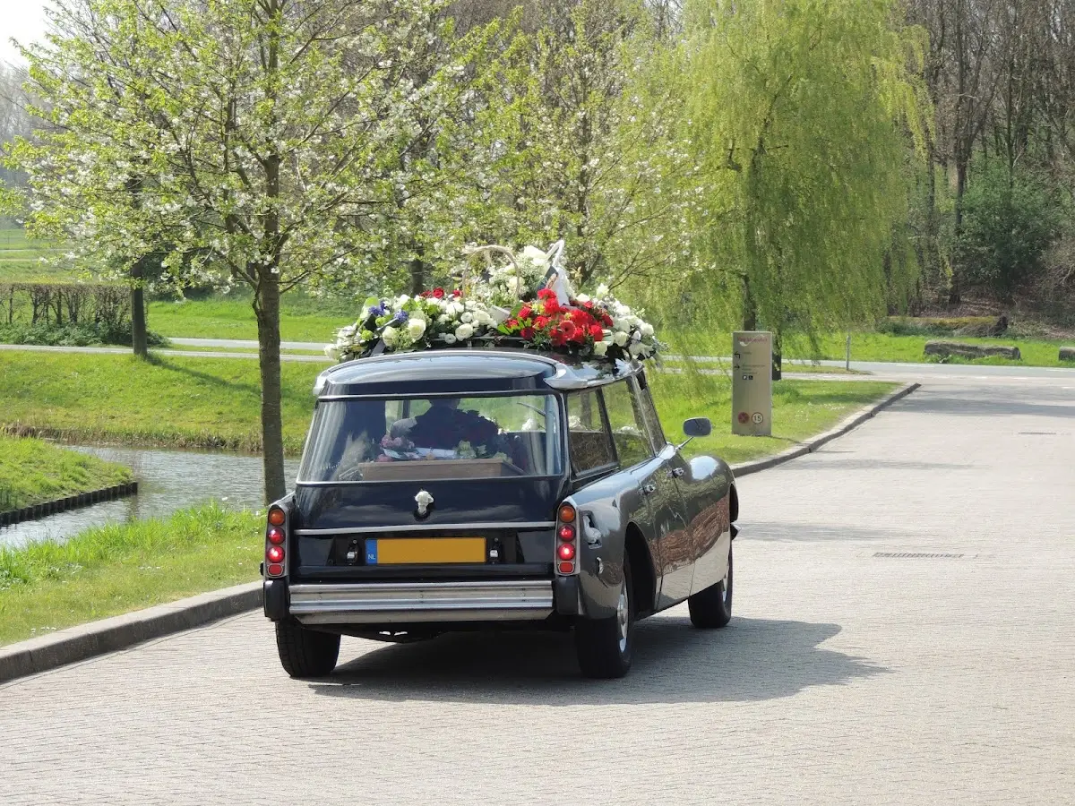 Stijl en Traditie in Den Haag