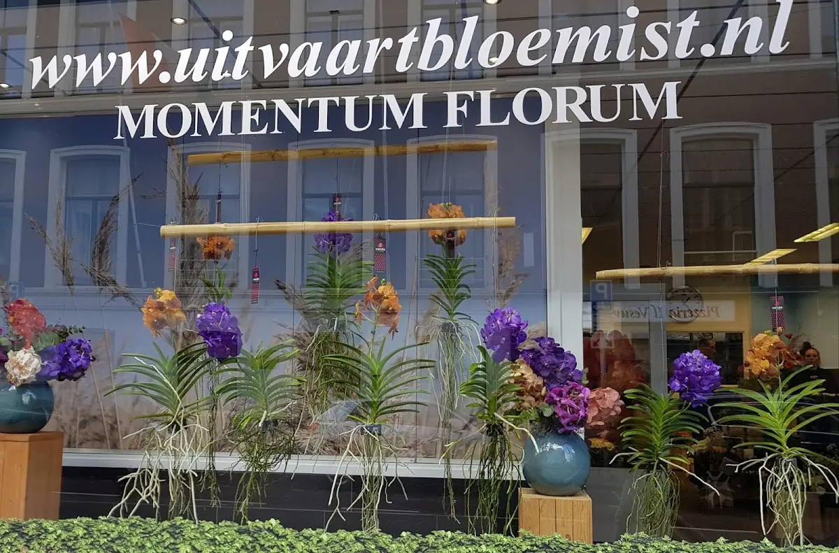 Foto van Uitvaartbloemist Momentum Florum B.V.