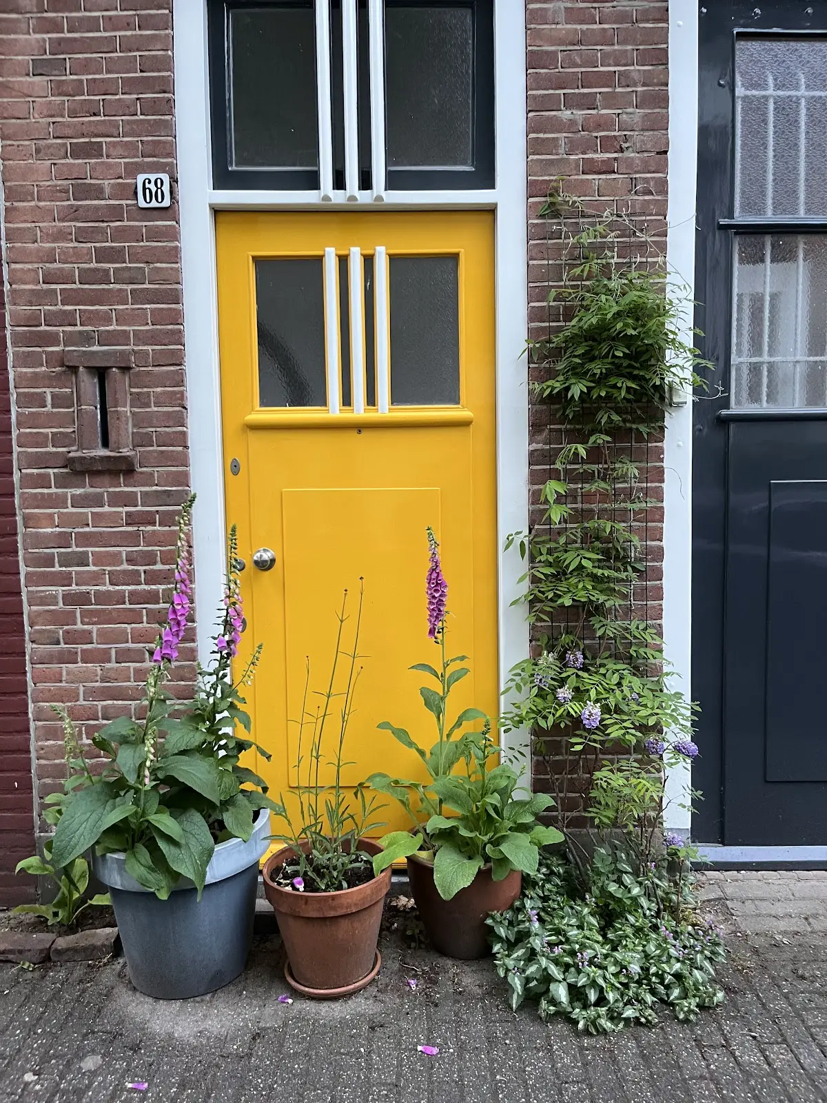 Foto van Eigenwijze Afscheid~Majorie de Groot