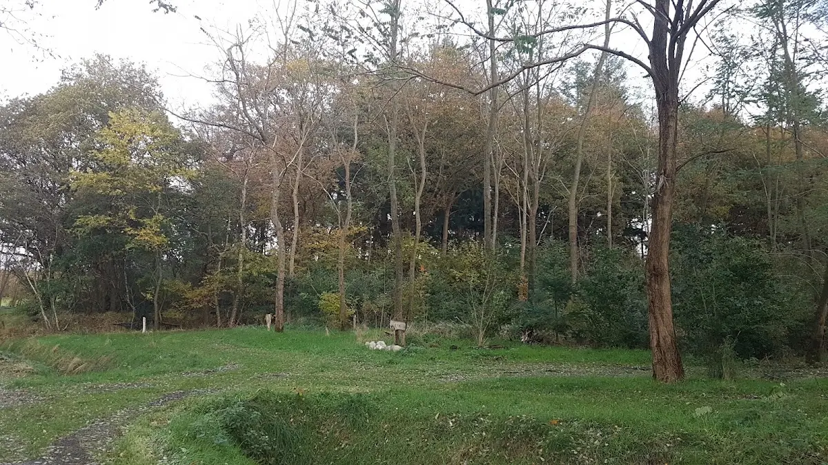 Natuerbegraafplak Bremer Wildernis in Sondel