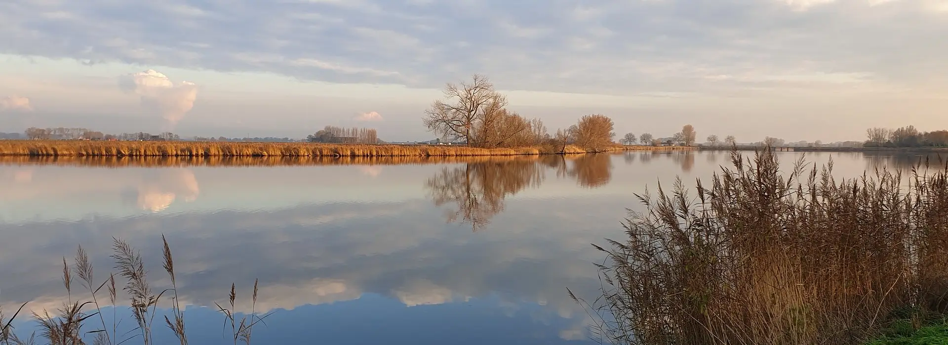 Foto van Begrafenisonderneming M van Hees
