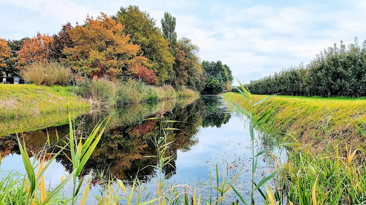 Foto van Begraafplaats Meteren