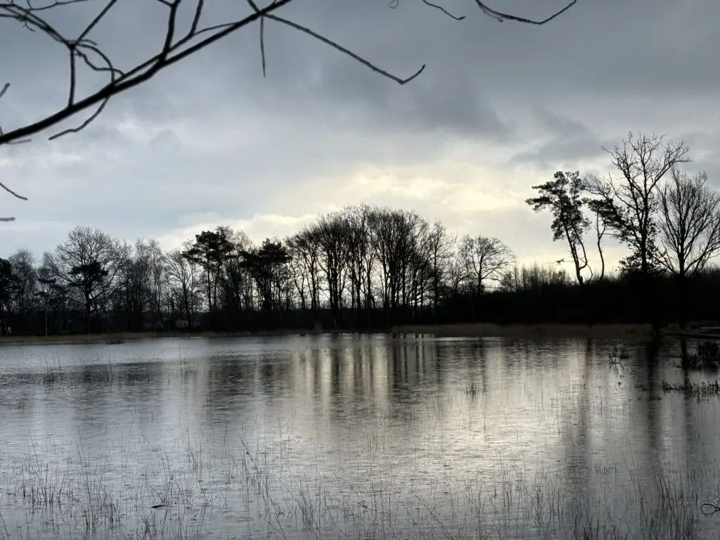 Foto van Uitvaartvisie Van Loo
