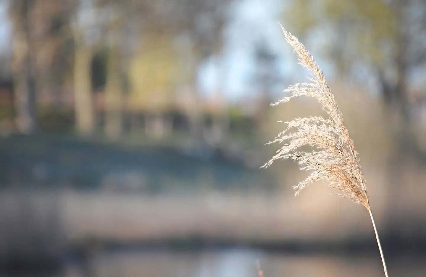 Kaspersma Uitvaartkistenfabriek B.V. in Dokkum
