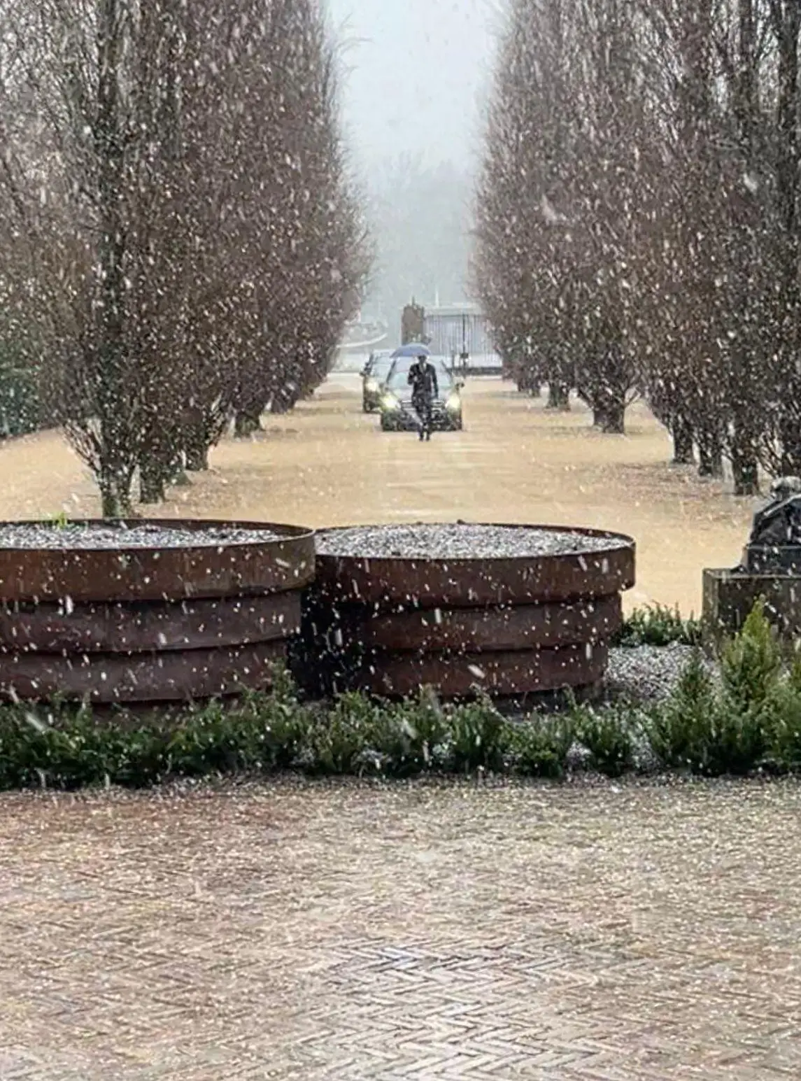 Foto van Sieto de Vos Uitvaarten