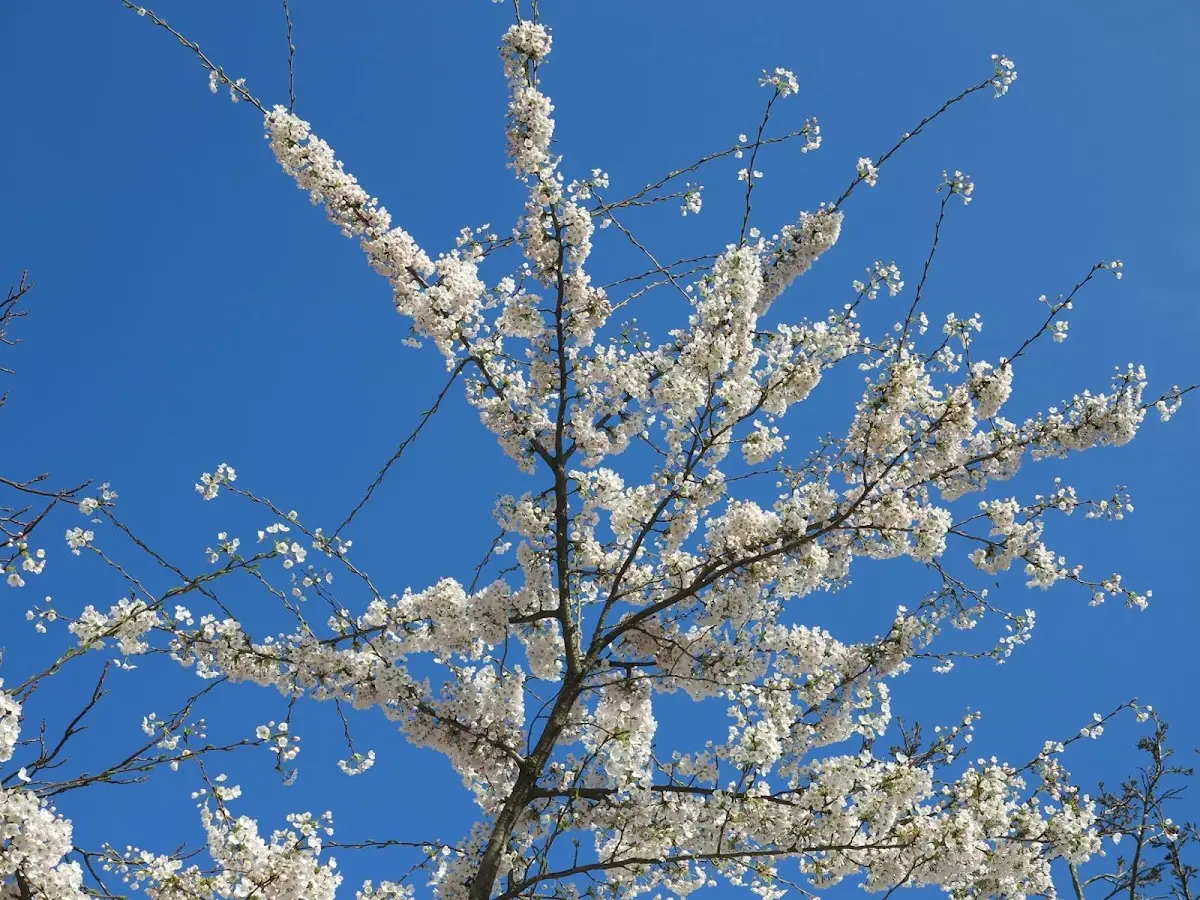 Uitvaartcentrum Elders in Amsterdam