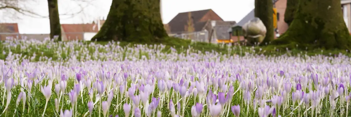 Foto van De Walakker cemetery