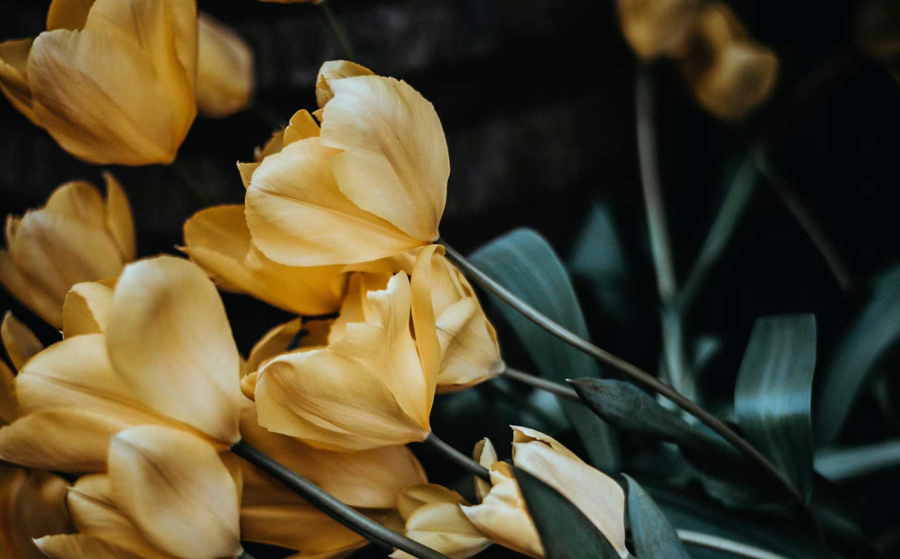 Pc Uitvaartlocaties B.V. in Nieuw-Vennep