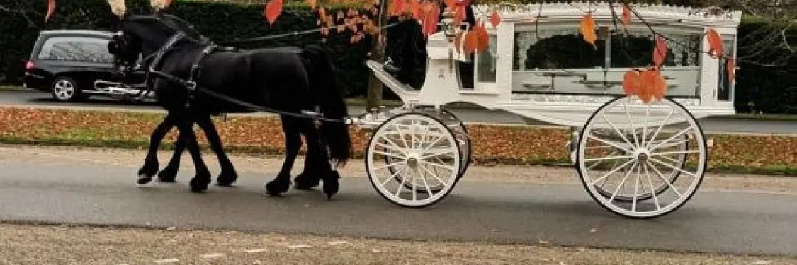 Foto van De Zeeuwse uitvaartverzorging