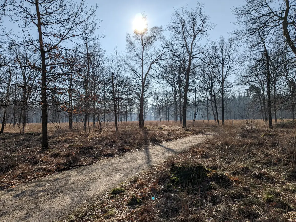 Foto van Begrafenisonderneming Verwijmeren