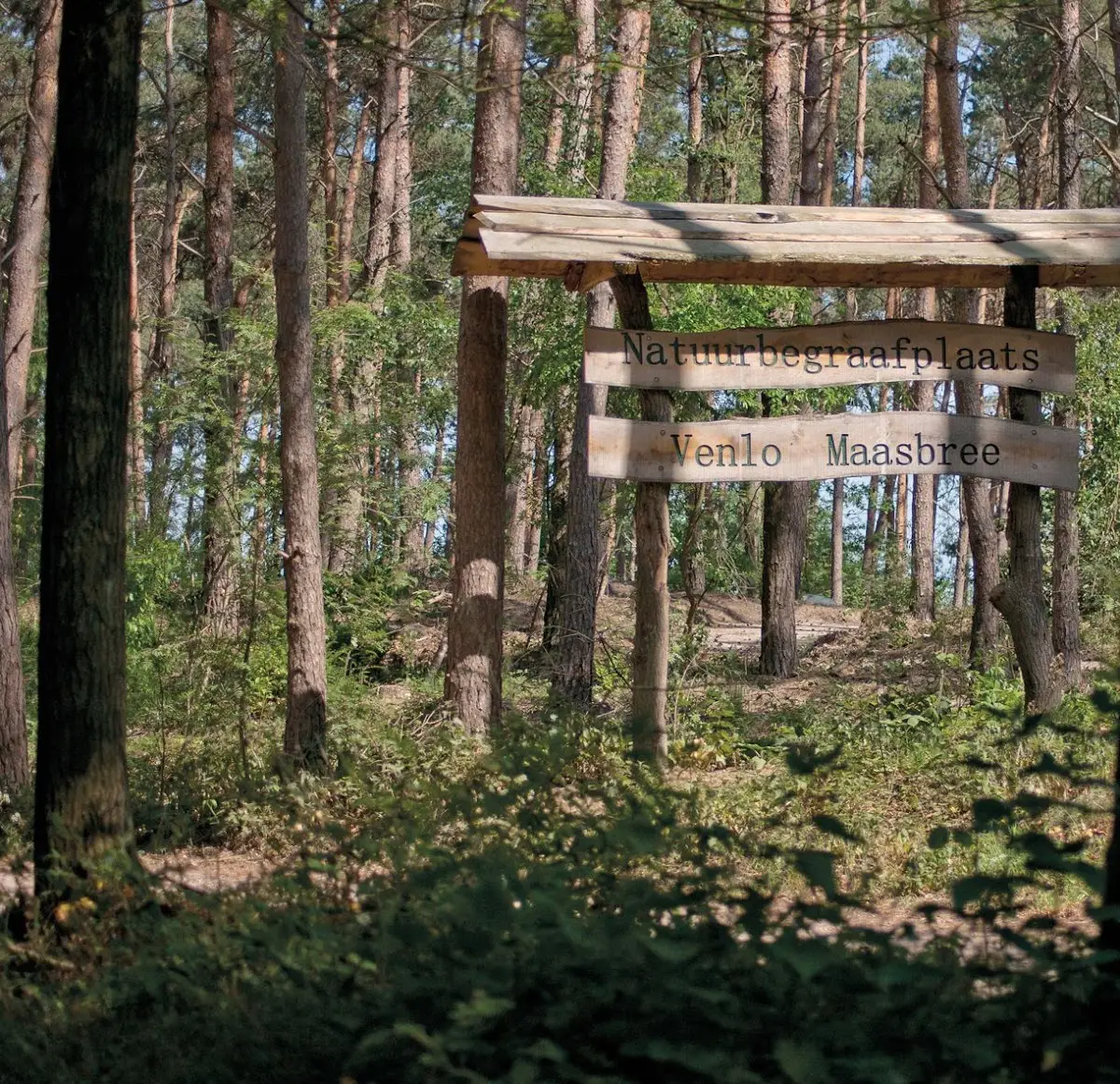 Natuurbegraafplaats Venlo - Maasbree in Venlo