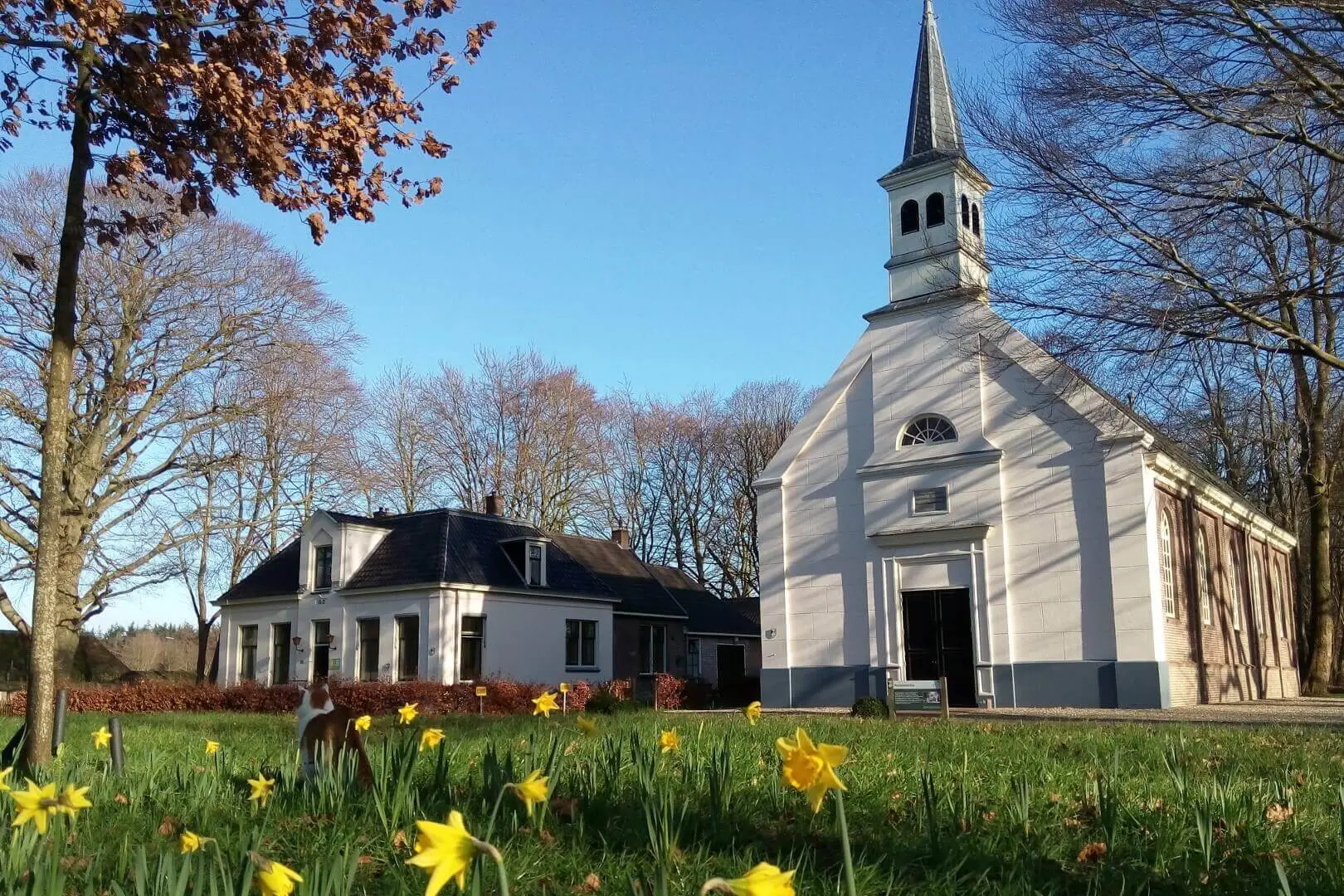 Foto van Maria Geboortekerk