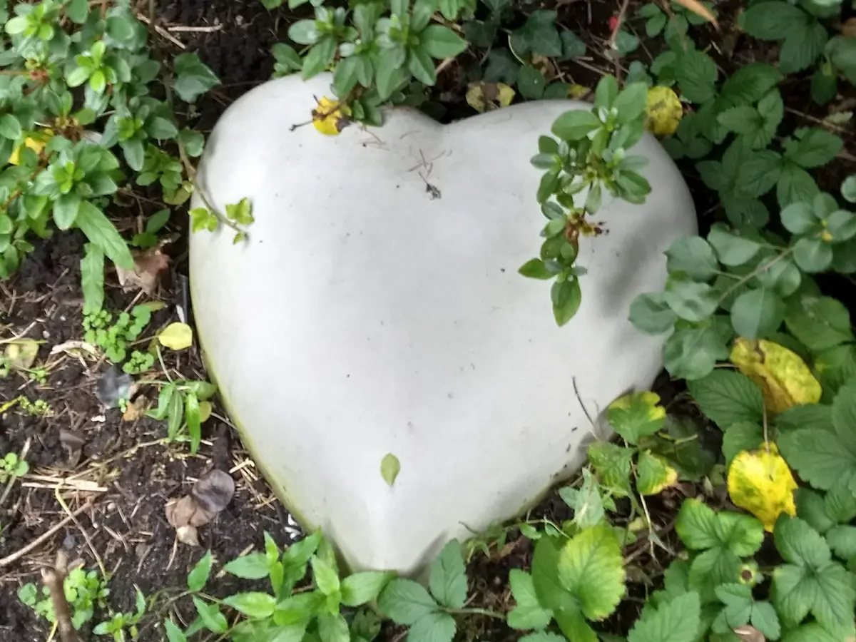 Foto van Purper Uitvaartzorg