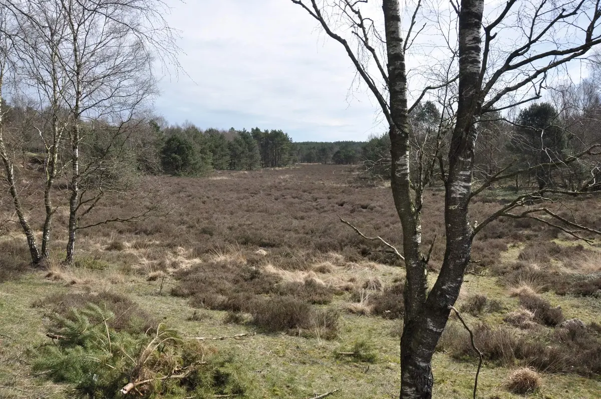 Foto van Verstrooiterrein Delhuyzen