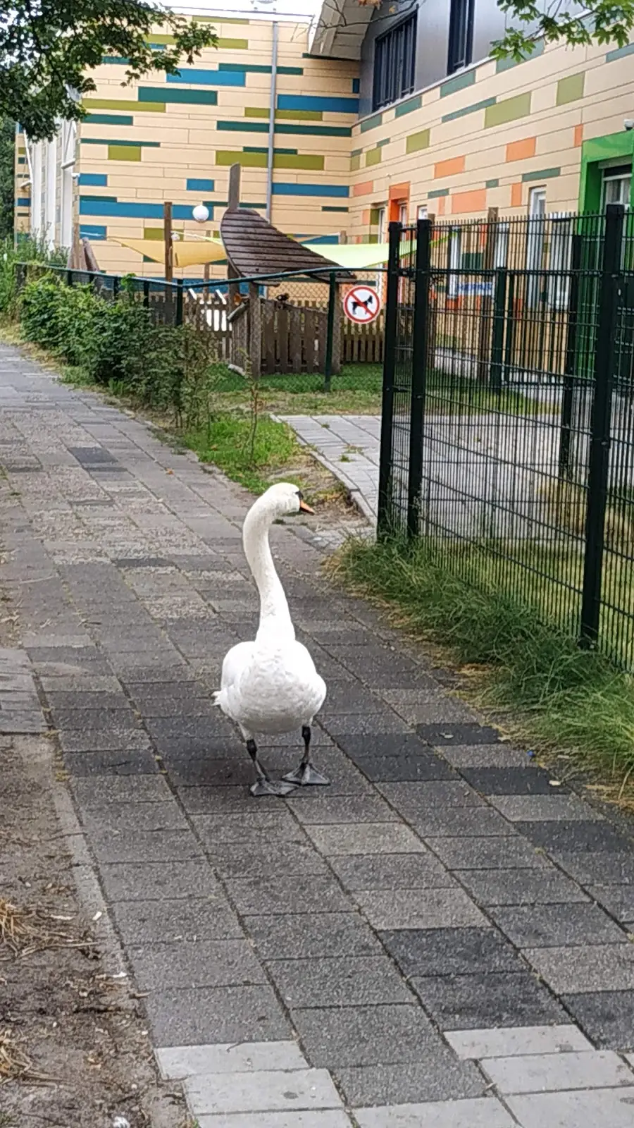 Algemene begraafplaats Wateringen in Wateringen