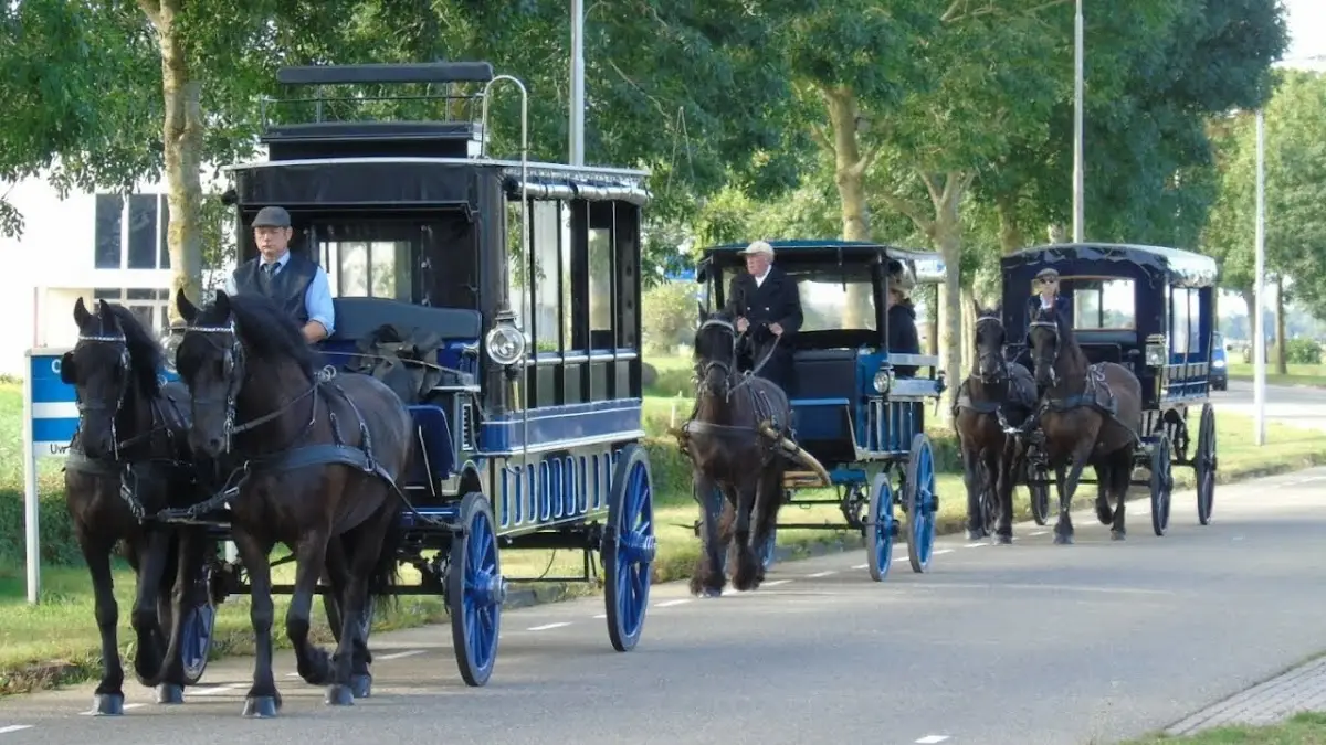 Foto van Stalhouderij familie Zwaan. Trouwkoets