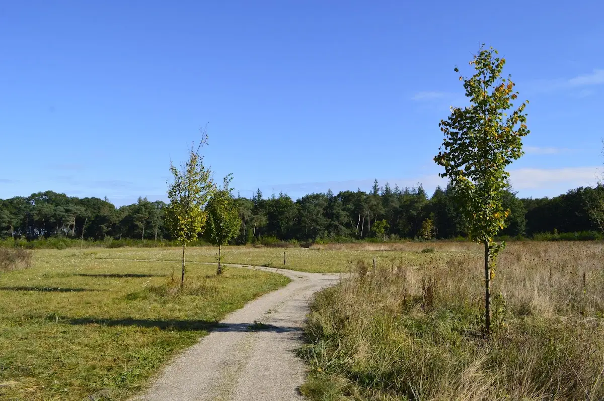 Foto van Natuurbegraafplaats Heidepol