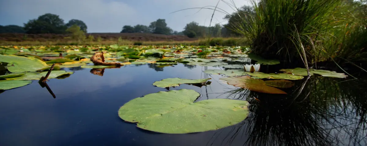 Foto van Begraafplaats Melick