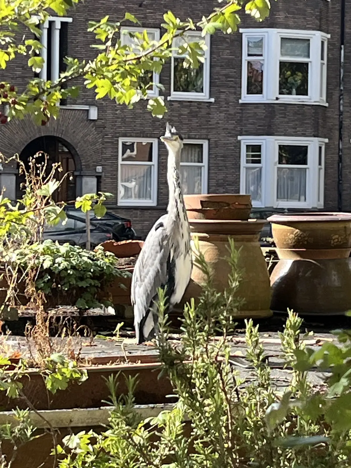 Foto van Uitvaart Amsterdam