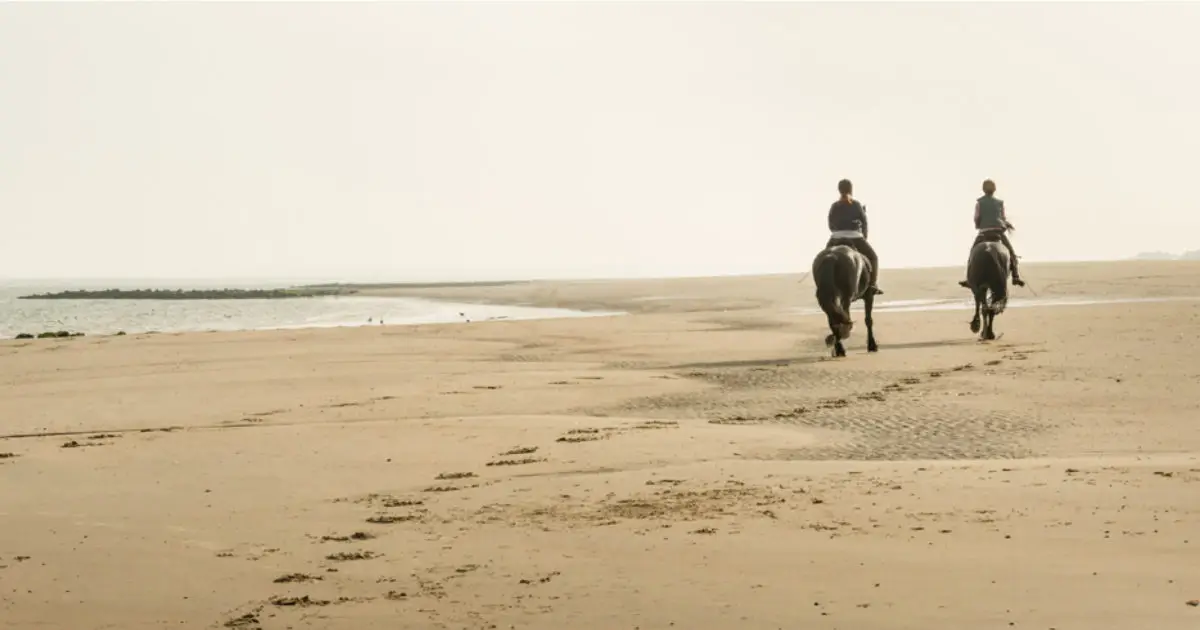 Sereen Uitvaartbegeleiding in Rotterdam