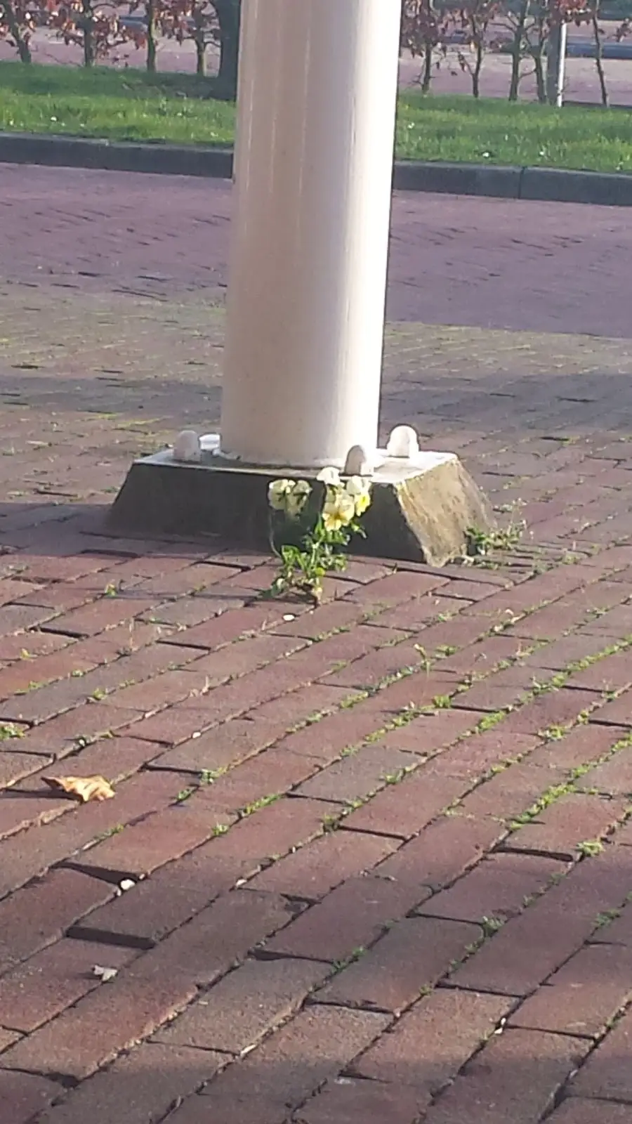 Nieuwe Begraafplaats in Brielle