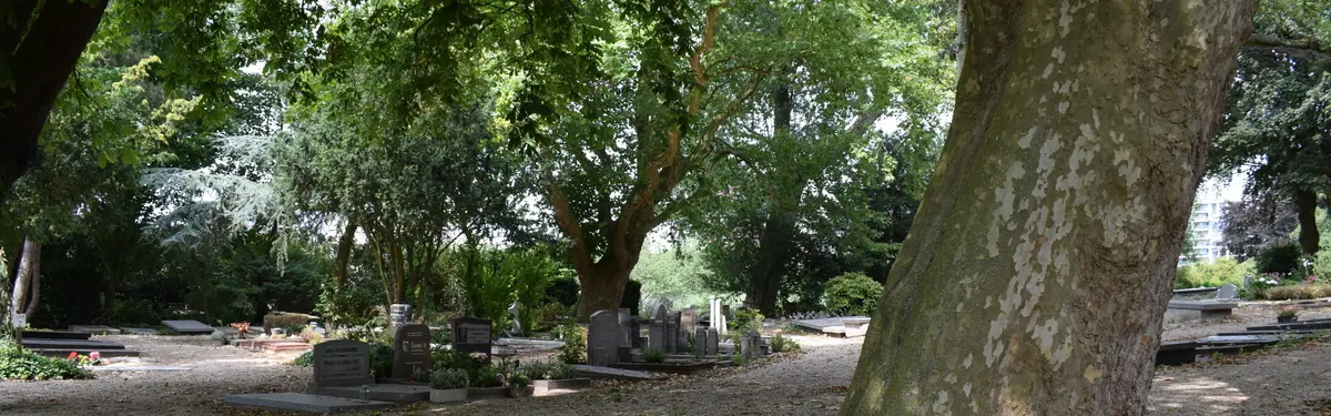 Foto van Old cemetery Kralingen