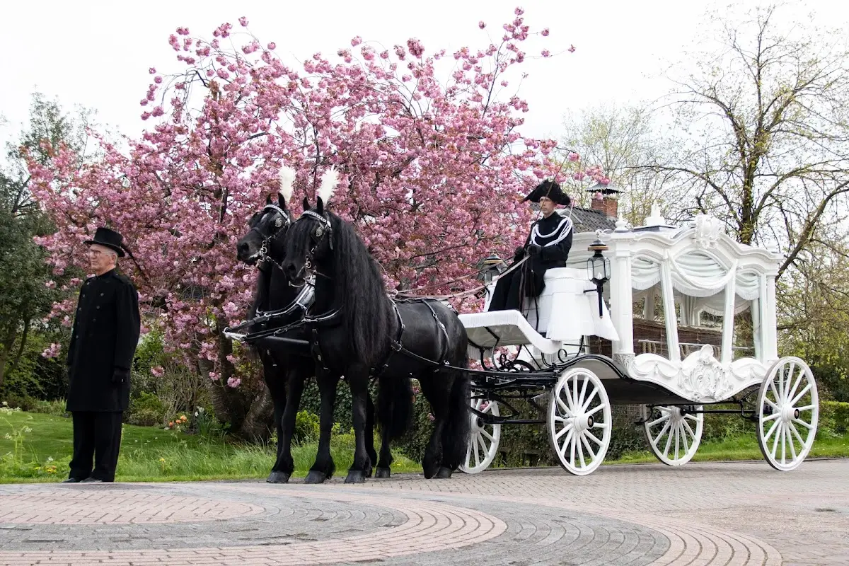 Foto van Eenstijlvolleuitvaart