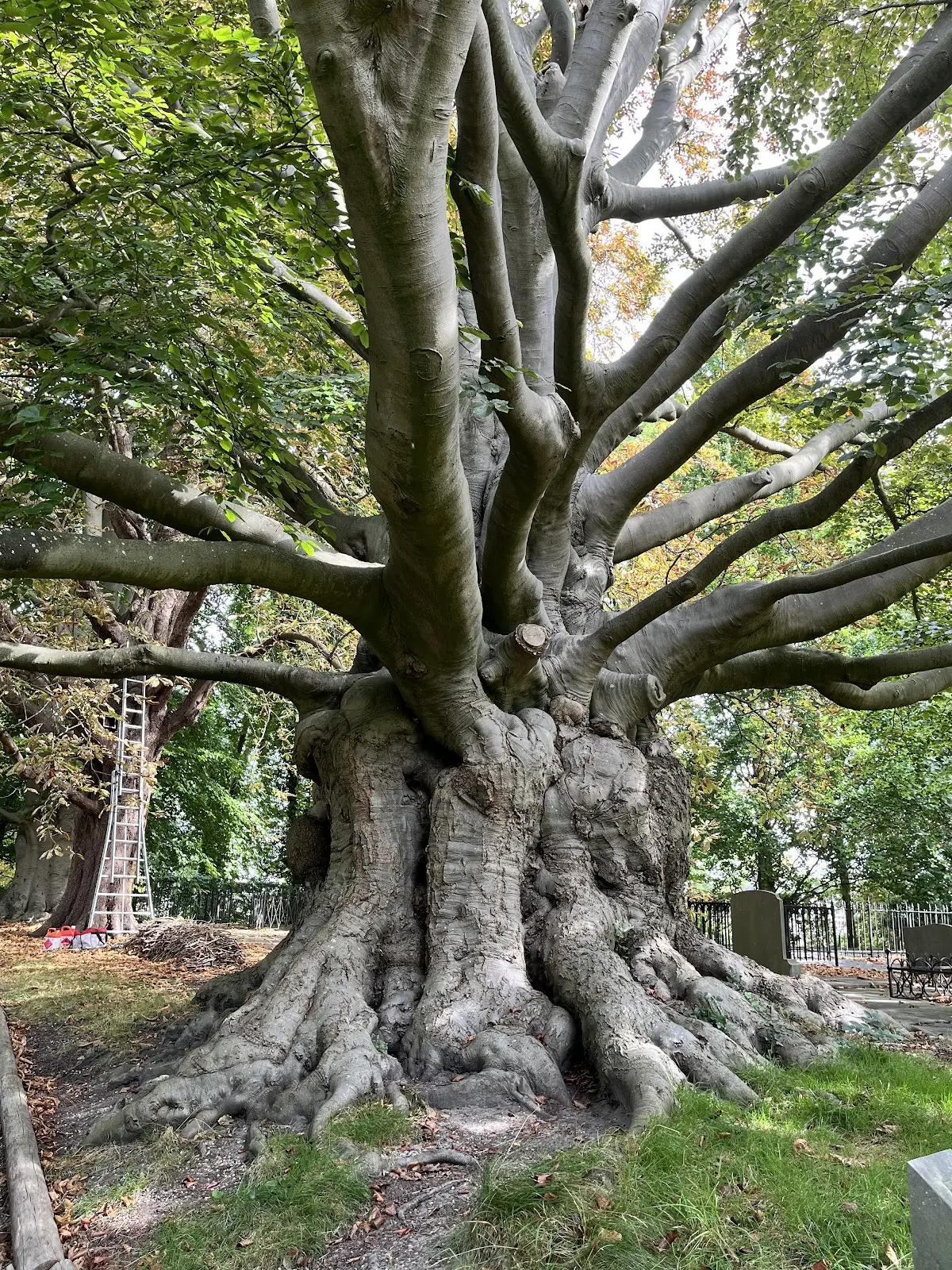 Foto van Cemetery Groenesteeg