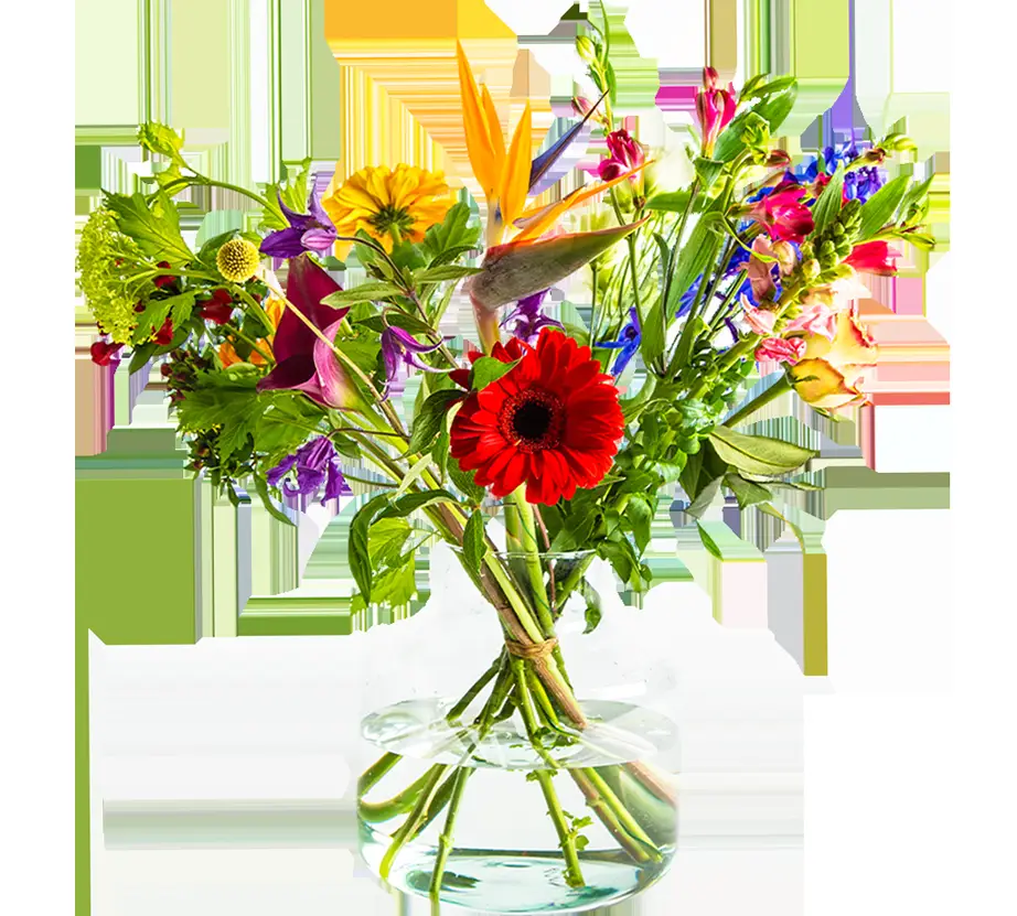Foto van Bloemenhal Chloris