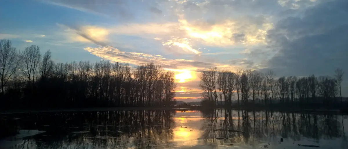 Asverstrooien Waddenzee in Oudeschild