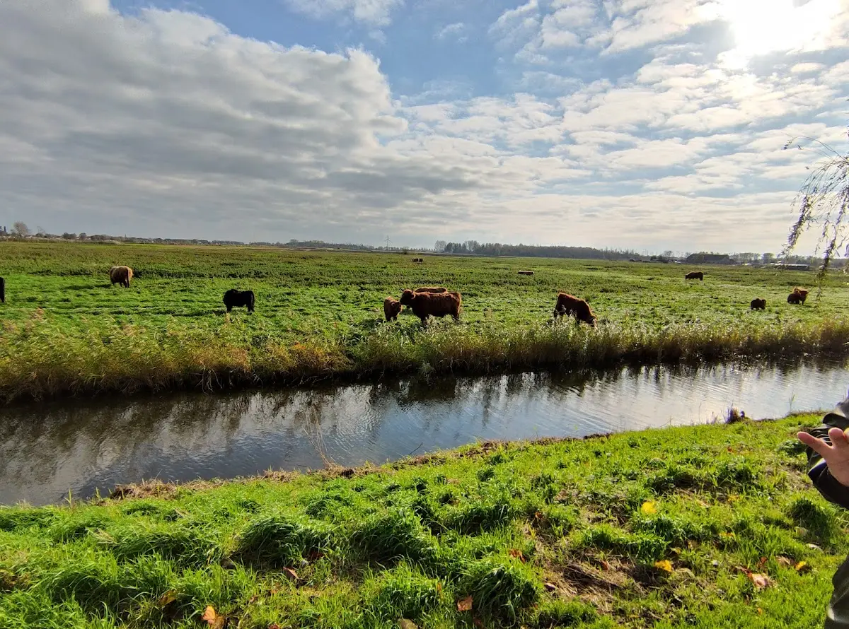 Foto van 'T Singeltje Trouw & Rouw & Workshop bloemist
