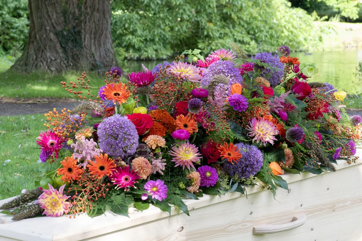 Foto van Euroflower Schoorl