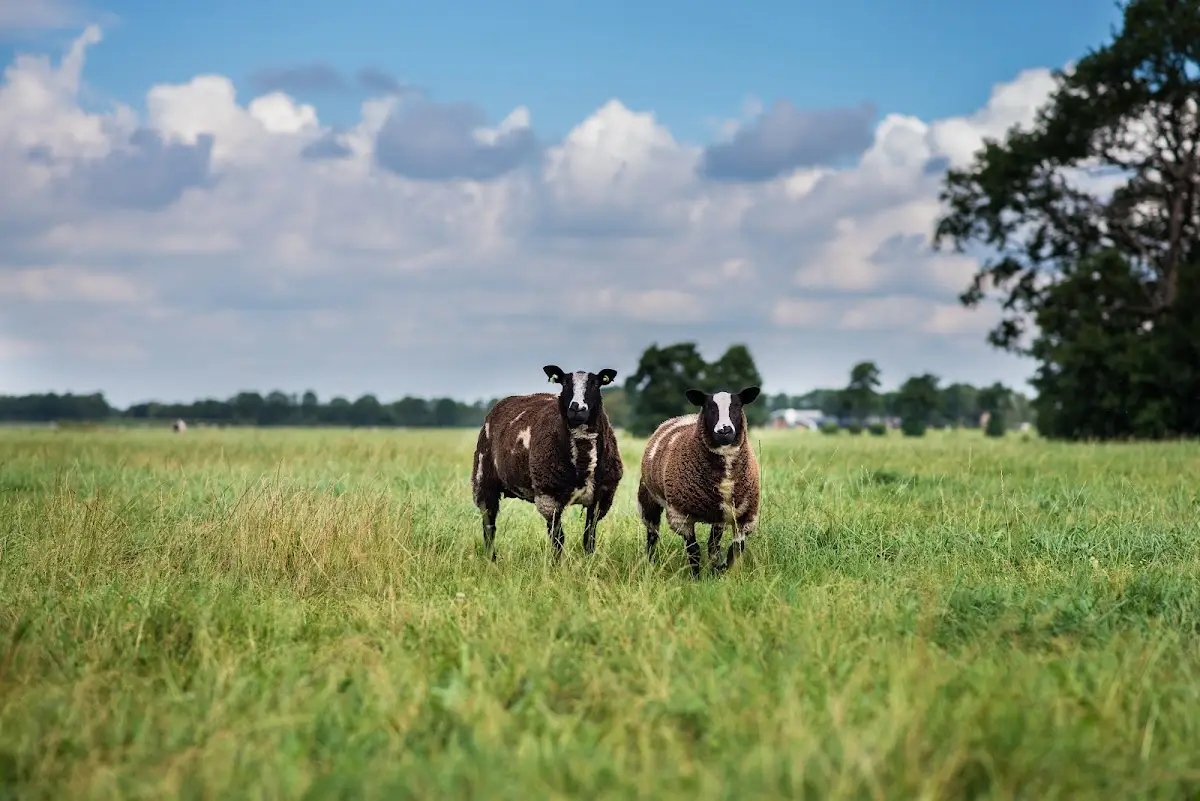 Zorgboerderij de Prikkedaem in Wijnjewoude