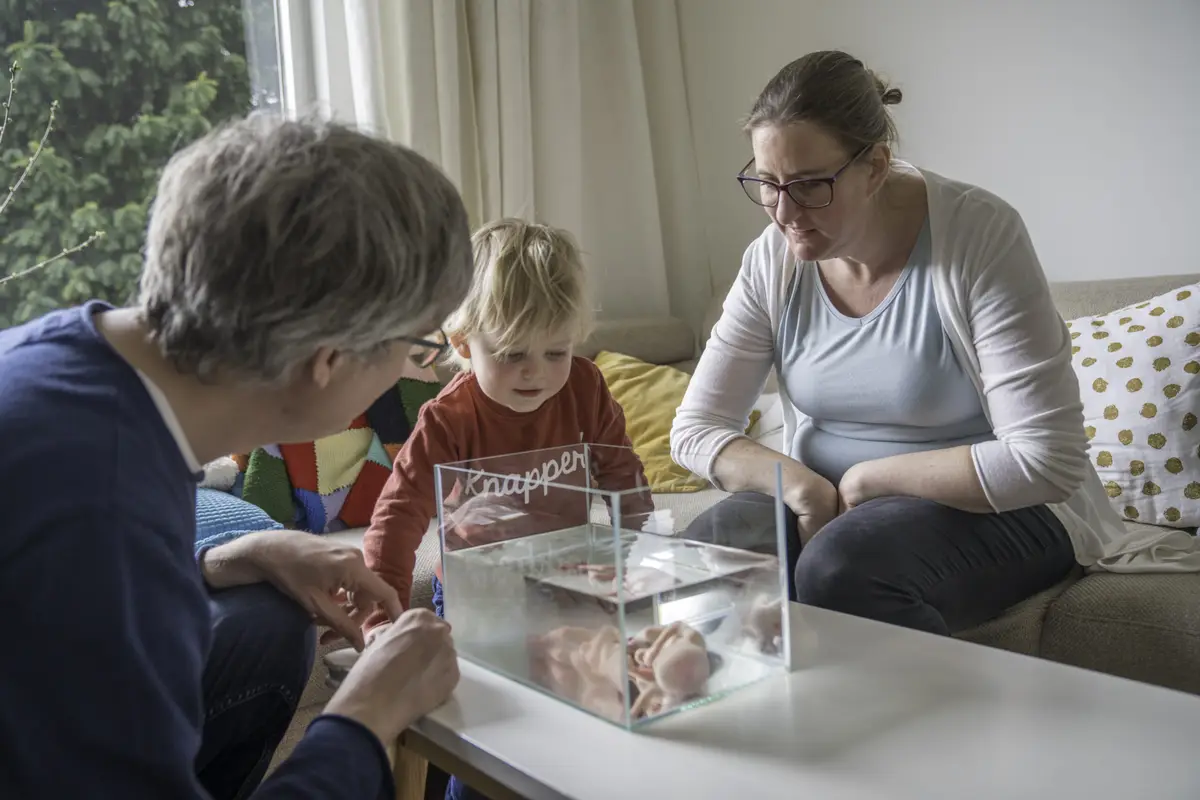Foto van Protestantse Gemeente Eastermar